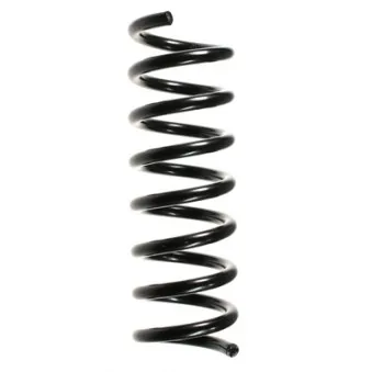 Ressort de suspension SPIDAN OEM 2103211604