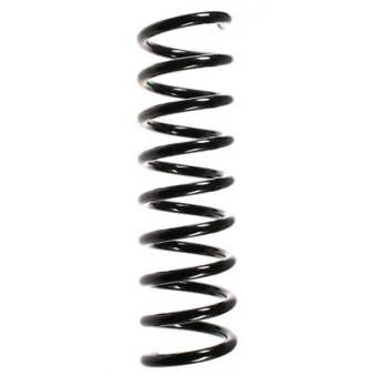 Ressort de suspension SPIDAN OEM A2103212804