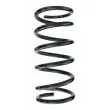 SPIDAN 55775 - Ressort de suspension