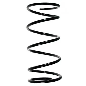 Ressort de suspension SPIDAN 55776
