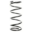 Ressort de suspension SPIDAN [55785]