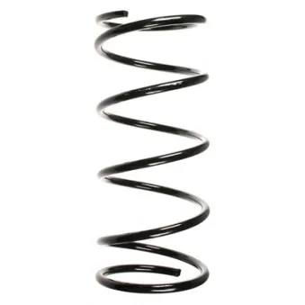 Ressort de suspension SPIDAN 55785