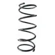 Ressort de suspension SPIDAN [55786]