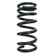 SPIDAN 55787 - Ressort de suspension