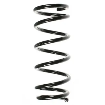 Ressort de suspension SPIDAN OEM 55020BU005