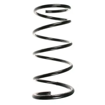 Ressort de suspension SPIDAN OEM 54010BU105