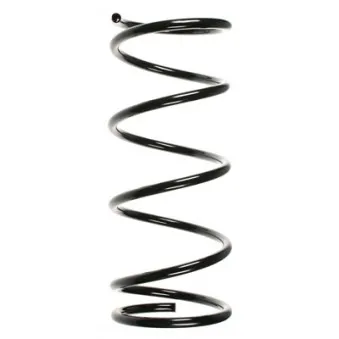 SPIDAN 55903 - Ressort de suspension