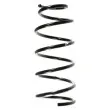 SPIDAN 55914 - Ressort de suspension