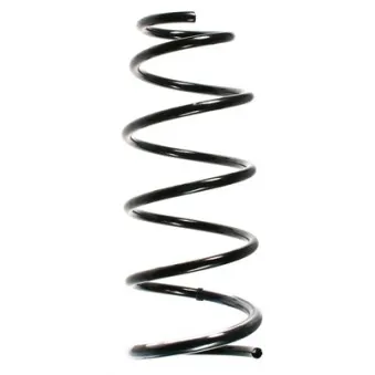 Ressort de suspension SPIDAN OEM 54010BM402