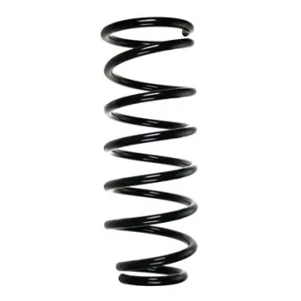 Ressort de suspension SPIDAN 55918