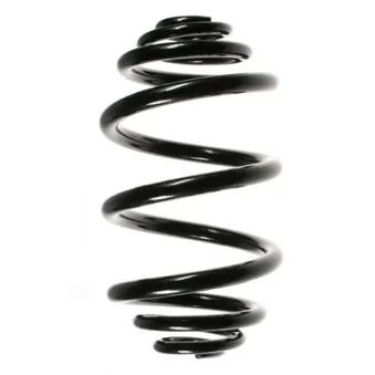 Ressort de suspension SPIDAN OEM 424392