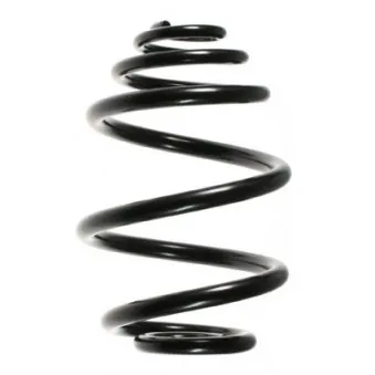 Ressort de suspension SPIDAN OEM 424056