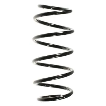 Ressort de suspension SPIDAN OEM 24406400