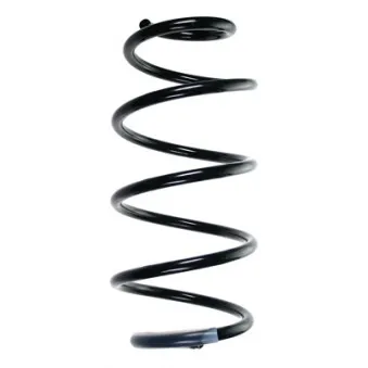 Ressort de suspension SPIDAN OEM 312355