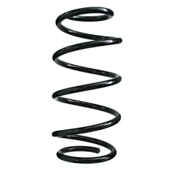 Ressort de suspension SPIDAN OEM 312846
