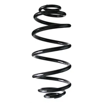 Ressort de suspension SPIDAN OEM 424083