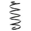 SPIDAN 56003 - Ressort de suspension