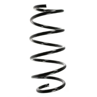 Ressort de suspension SPIDAN OEM 312107