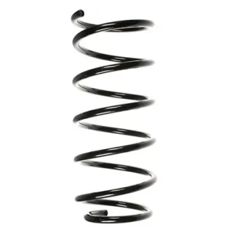 Ressort de suspension SPIDAN OEM 312843