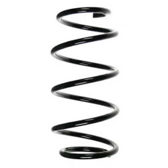 Ressort de suspension SPIDAN OEM 312853