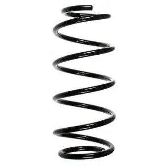 Ressort de suspension SPIDAN OEM 312094