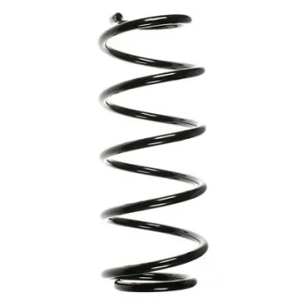 Ressort de suspension SPIDAN OEM 312833