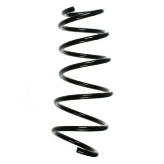 Ressort de suspension SPIDAN OEM 312257