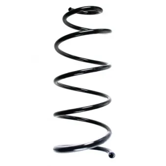 Ressort de suspension SPIDAN OEM 5002FV