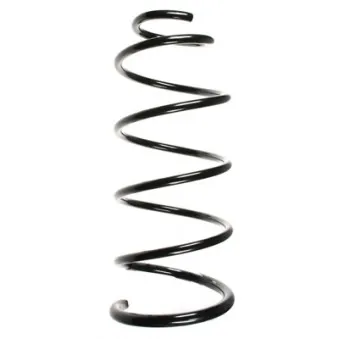 Ressort de suspension SPIDAN OEM 5002FS