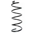 SPIDAN 56074 - Ressort de suspension