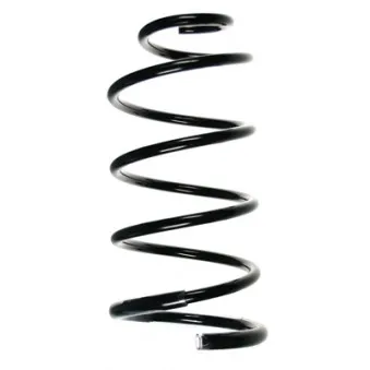 Ressort de suspension SPIDAN OEM 5002GG