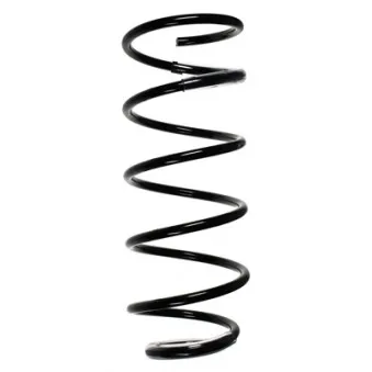 SPIDAN 56098 - Ressort de suspension