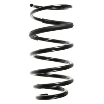 Ressort de suspension SPIDAN OEM 6025308615