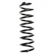 SPIDAN 56155 - Ressort de suspension