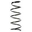 SPIDAN 56166 - Ressort de suspension