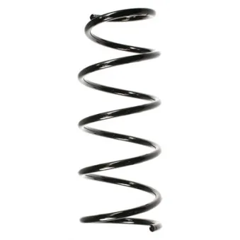Ressort de suspension SPIDAN OEM 5401000QAL