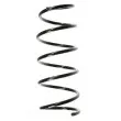 SPIDAN 56181 - Ressort de suspension