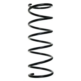 Ressort de suspension SPIDAN 56416