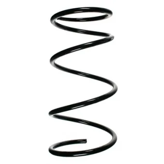 Ressort de suspension SPIDAN OEM 4813142021
