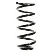 SPIDAN 56600 - Ressort de suspension