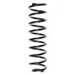 Ressort de suspension SPIDAN [56623]