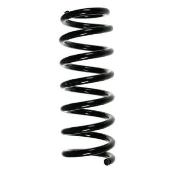 Ressort de suspension SPIDAN OEM 4111165D20