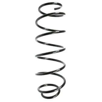 Ressort de suspension SPIDAN OEM 0011569V001000000