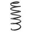 Ressort de suspension SPIDAN [56813]