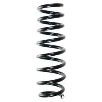 Ressort de suspension SPIDAN OEM 50705822