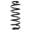 Ressort de suspension SPIDAN [56883]