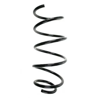 Ressort de suspension SPIDAN OEM 31336767370