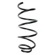 SPIDAN 56917 - Ressort de suspension