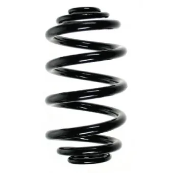 Ressort de suspension SPIDAN OEM 33533413079