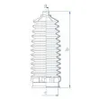 SPIDAN 84258 - Joint-soufflet, direction